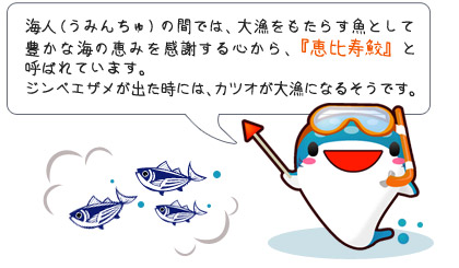 海人の間では、『恵比寿鮫』と呼ばれています。